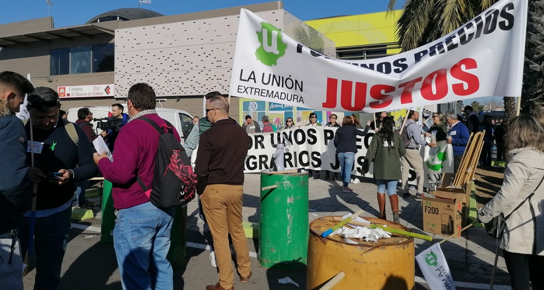 Los agricultores comienzan a llegar a Mérida