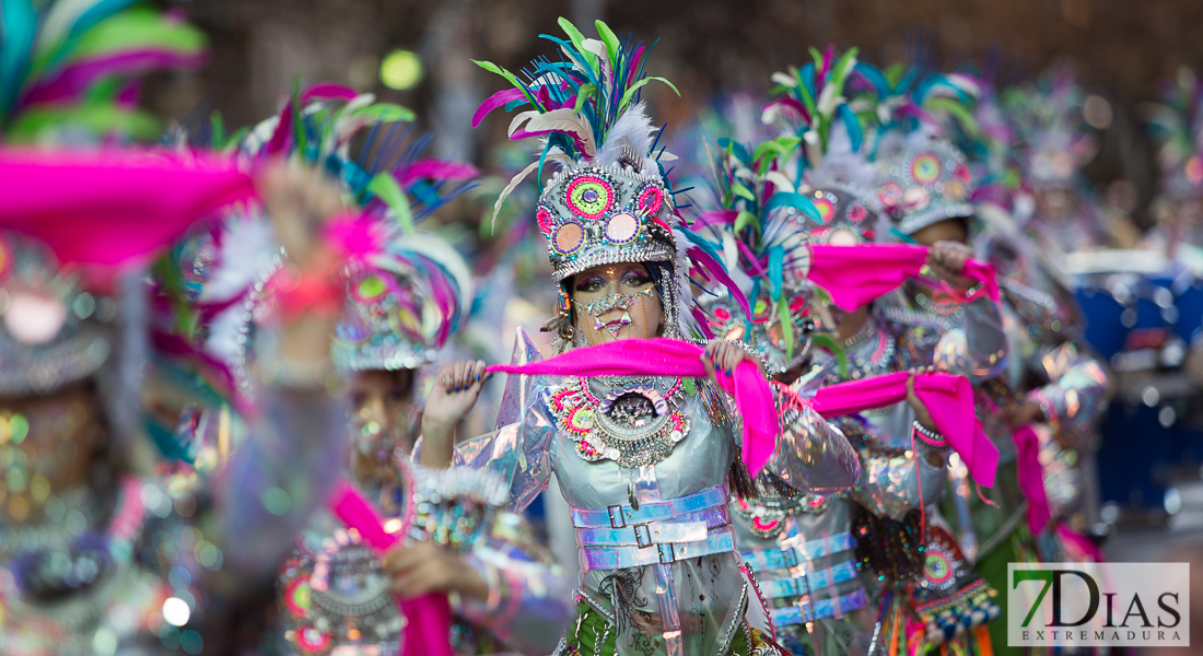 Imágenes grupales del Desfile infantil de comparsas de Badajoz