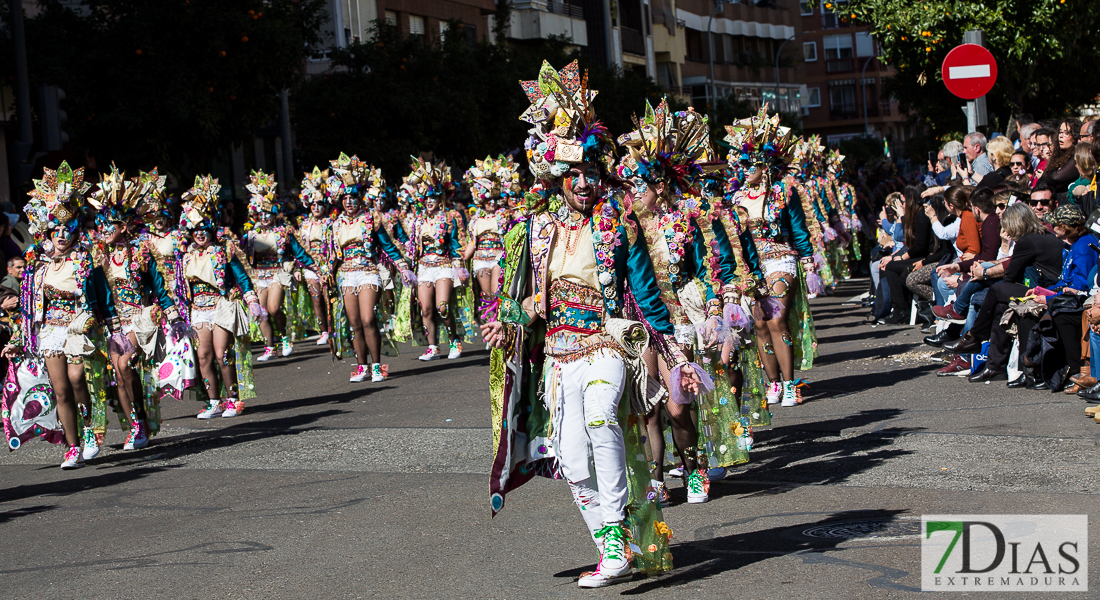 Los mejores planos generales del Gran Desfile de Comparsas del Carnaval de Badajoz