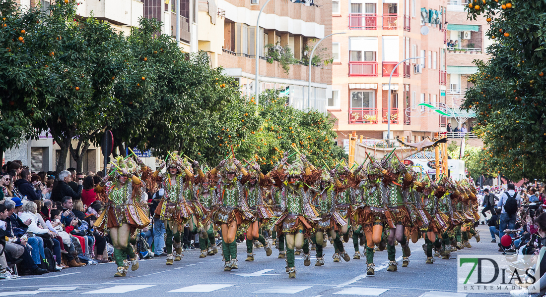 Los mejores planos generales del Gran Desfile de Comparsas del Carnaval de Badajoz