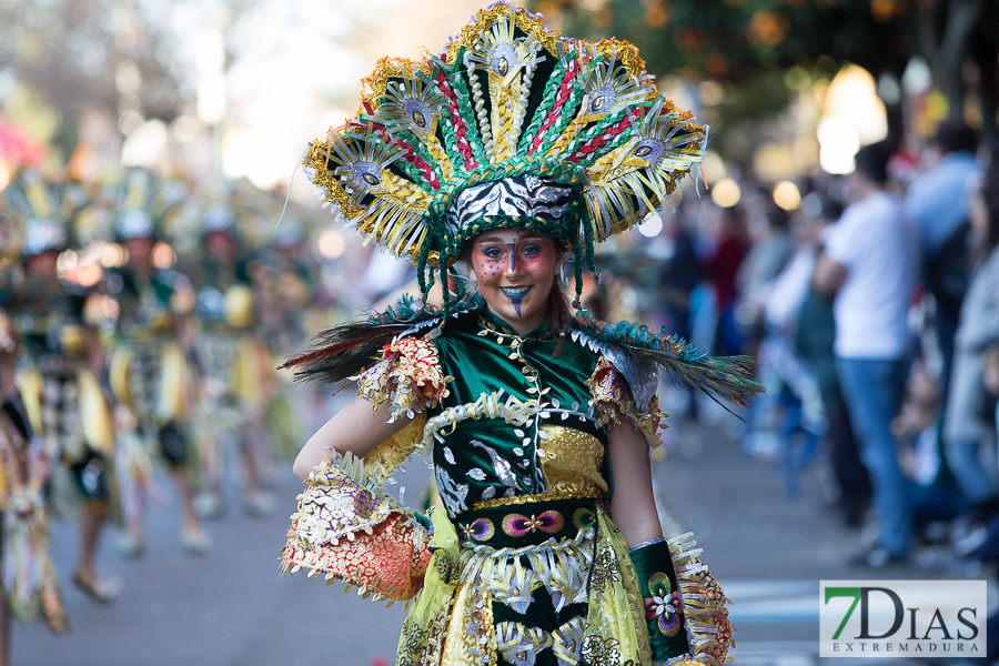 Mejores primeros planos del Gran Desfile de Comparsas del Carnaval de Badajoz