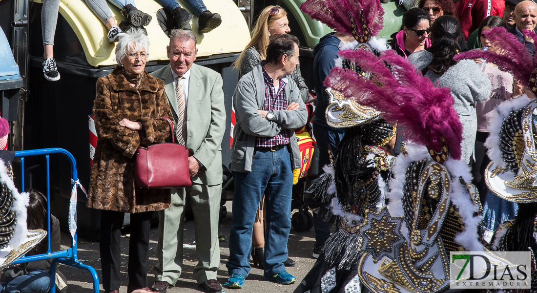 El Carnaval se despide con el tradicional Entierro de la Sardina