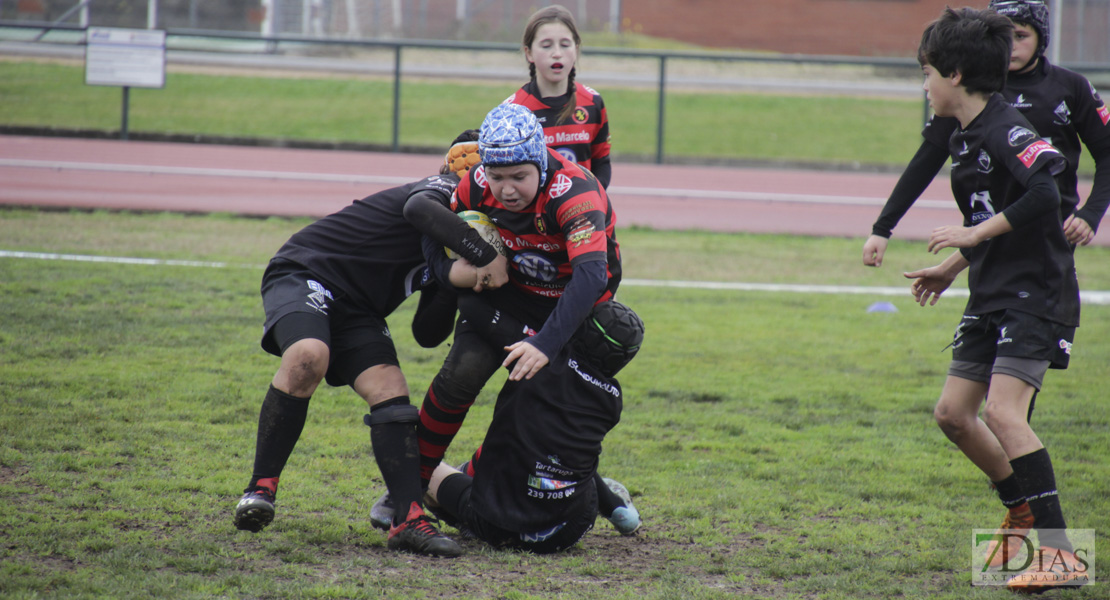 Imágenes de la Convivencia Internacional de Rugby Ciudad de Badajoz 2020