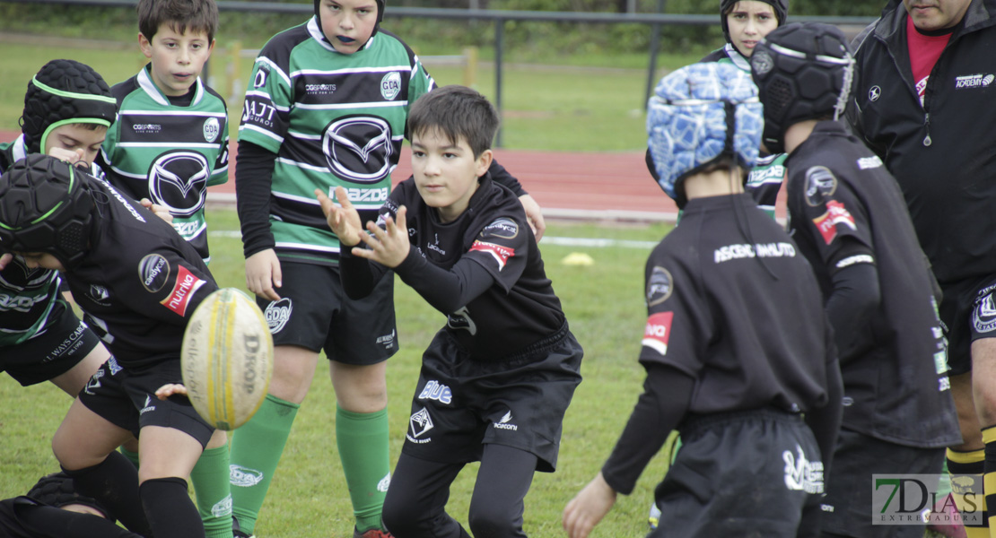 Imágenes de la Convivencia Internacional de Rugby Ciudad de Badajoz 2020