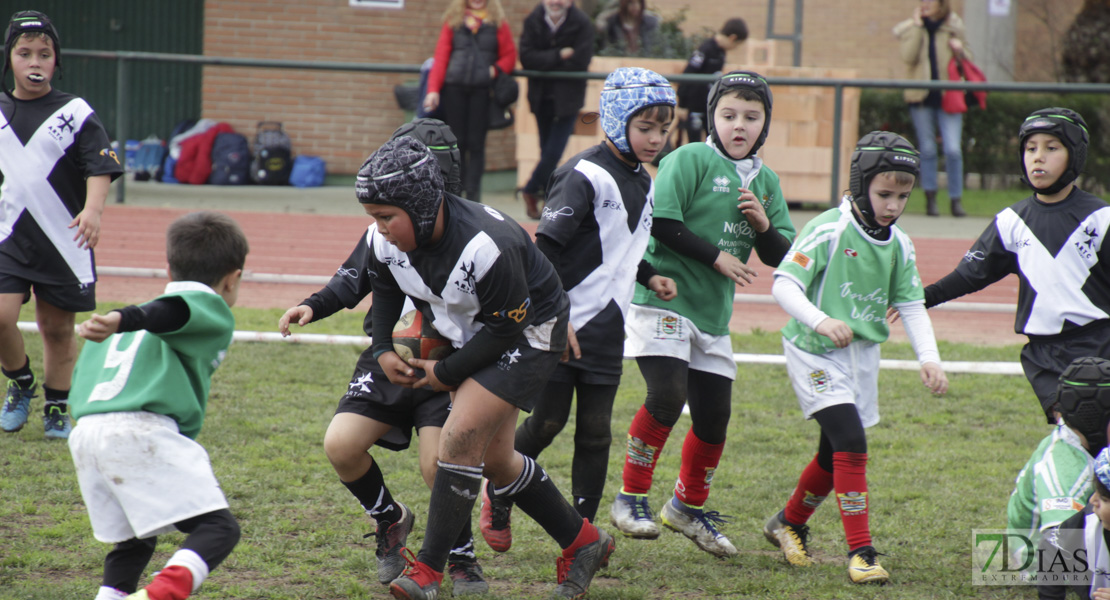 Imágenes de la Convivencia Internacional de Rugby Ciudad de Badajoz 2020