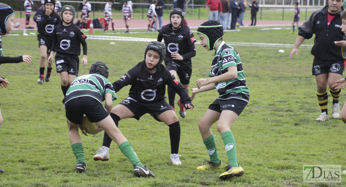 Imágenes de la Convivencia Internacional de Rugby Ciudad de Badajoz 2020