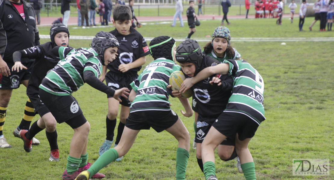 Imágenes de la Convivencia Internacional de Rugby Ciudad de Badajoz 2020