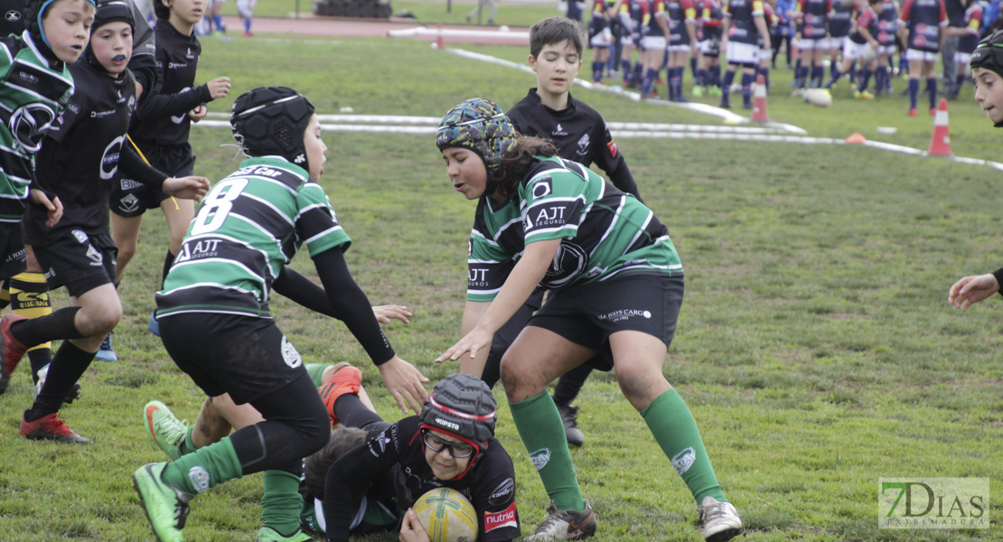 Imágenes de la Convivencia Internacional de Rugby Ciudad de Badajoz 2020