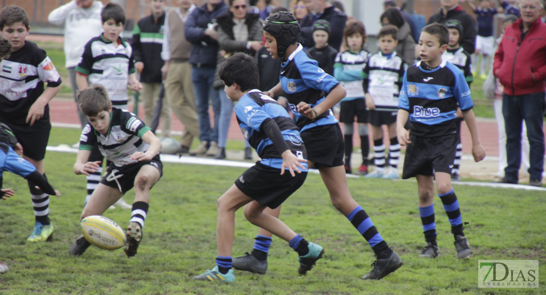 Imágenes de la Convivencia Internacional de Rugby Ciudad de Badajoz 2020