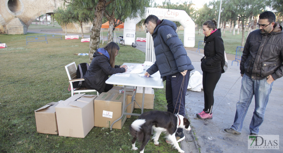 Imágenes de la II Canicross Ciudad de Badajoz I