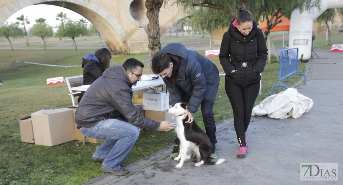 Imágenes de la II Canicross Ciudad de Badajoz I