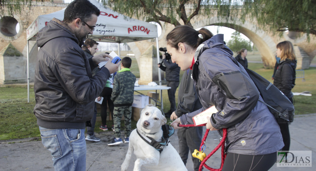 Imágenes de la II Canicross Ciudad de Badajoz I