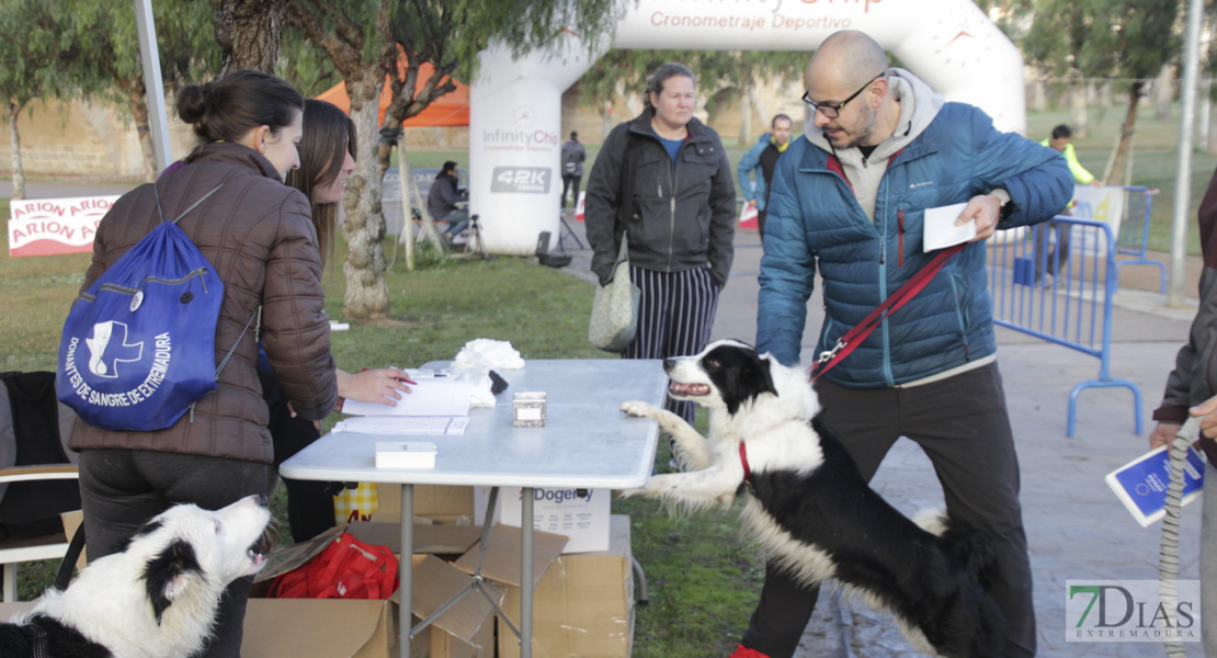 Imágenes de la II Canicross Ciudad de Badajoz I