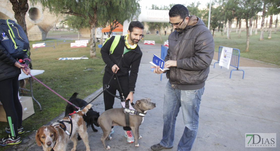 Imágenes de la II Canicross Ciudad de Badajoz I