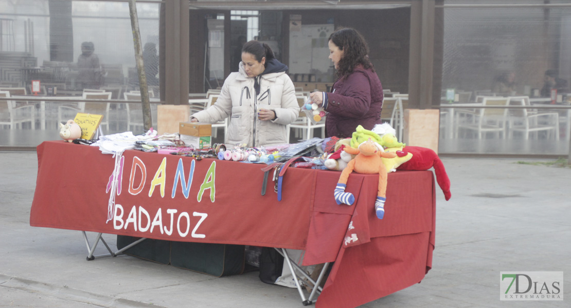 Imágenes de la II Canicross Ciudad de Badajoz I