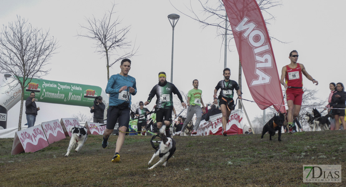 Imágenes de la II Canicross Ciudad de Badajoz I