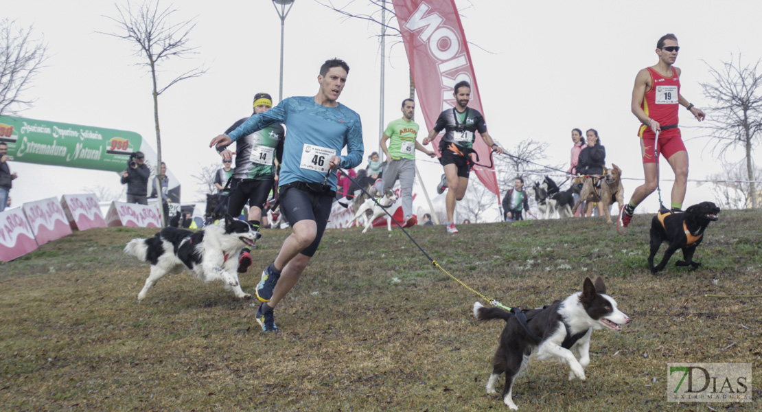 Imágenes de la II Canicross Ciudad de Badajoz I