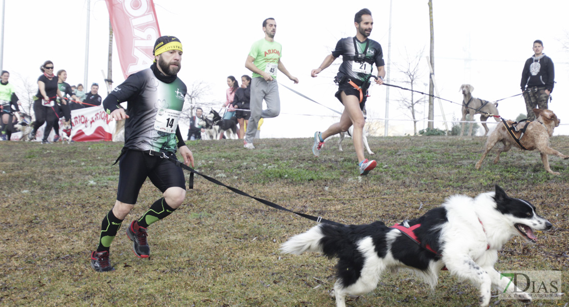 Imágenes de la II Canicross Ciudad de Badajoz I