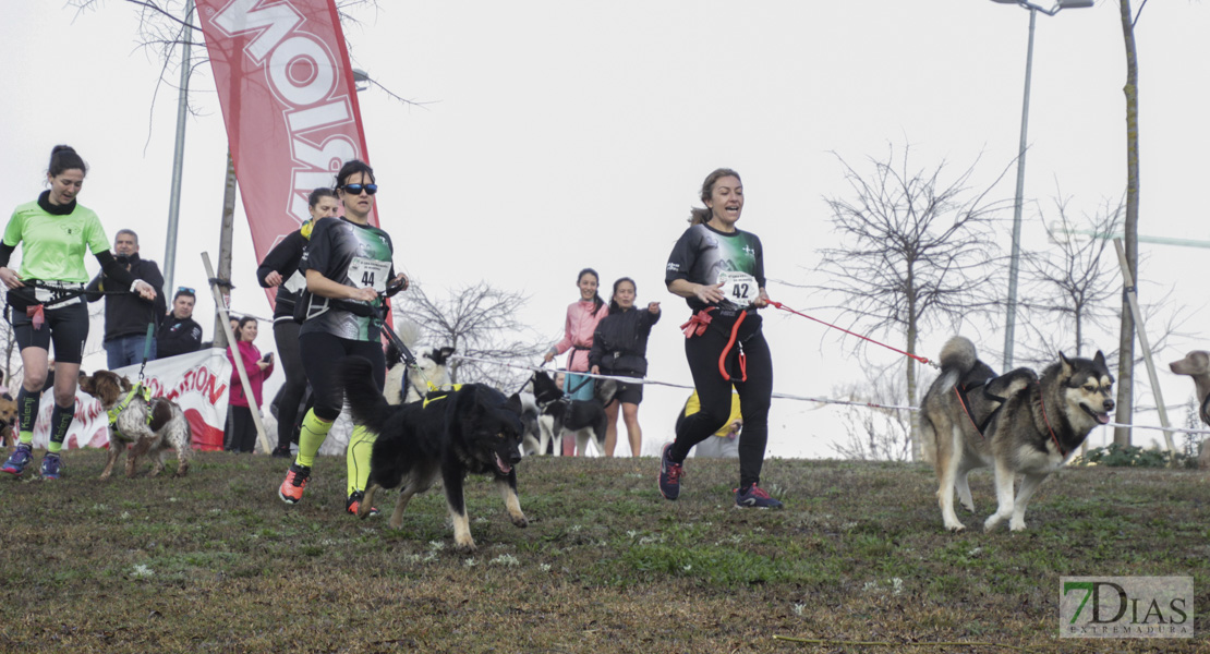 Imágenes de la II Canicross Ciudad de Badajoz I