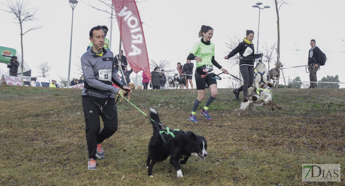 Imágenes de la II Canicross Ciudad de Badajoz I