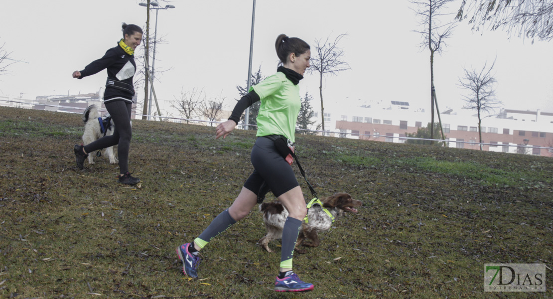 Imágenes de la II Canicross Ciudad de Badajoz I