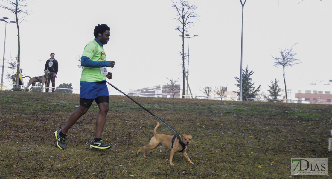 Imágenes de la II Canicross Ciudad de Badajoz I