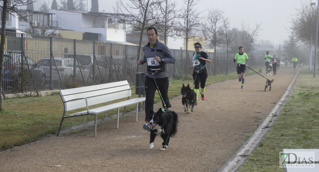 Imágenes de la II Canicross Ciudad de Badajoz I