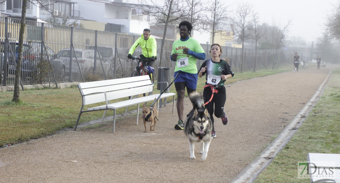 Imágenes de la II Canicross Ciudad de Badajoz I