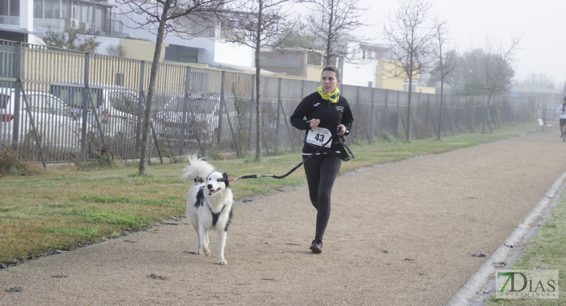 Imágenes de la II Canicross Ciudad de Badajoz I