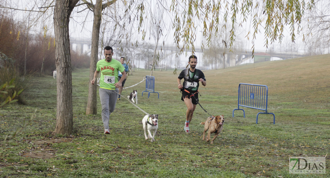 Imágenes de la II Canicross Ciudad de Badajoz I