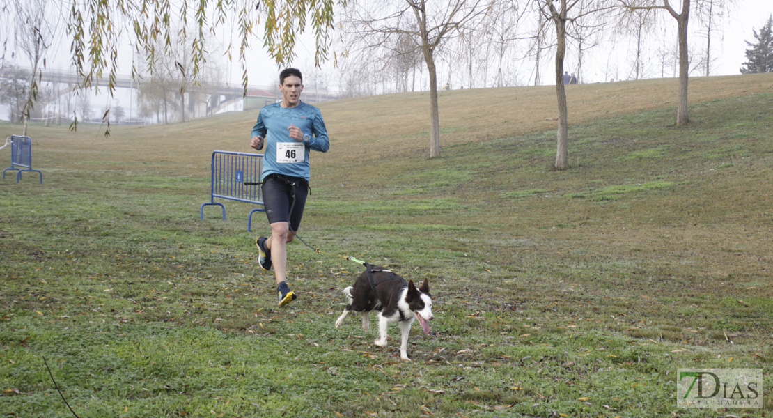 Imágenes de la II Canicross Ciudad de Badajoz I