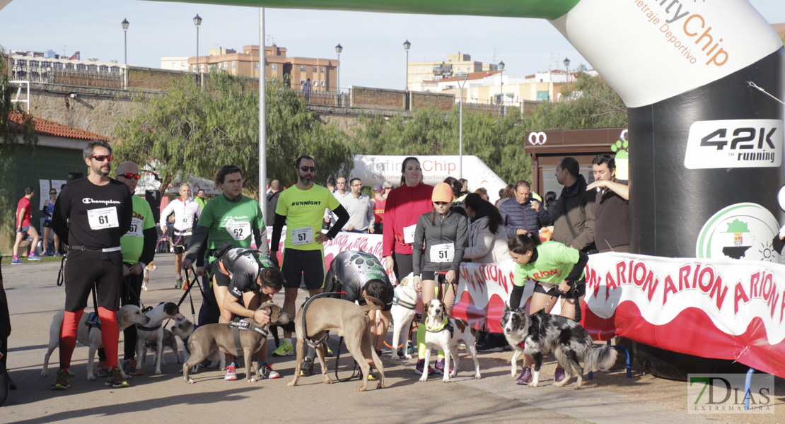 Imágenes de la II Canicross Ciudad de Badajoz II