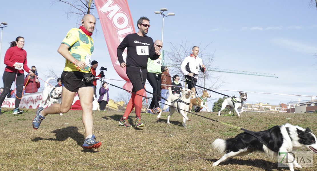 Imágenes de la II Canicross Ciudad de Badajoz II