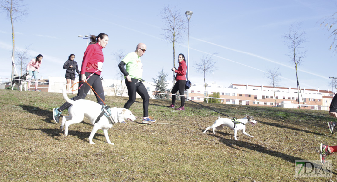 Imágenes de la II Canicross Ciudad de Badajoz II