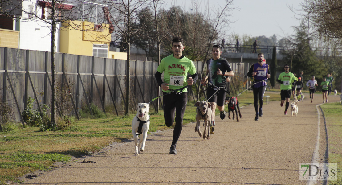 Imágenes de la II Canicross Ciudad de Badajoz II