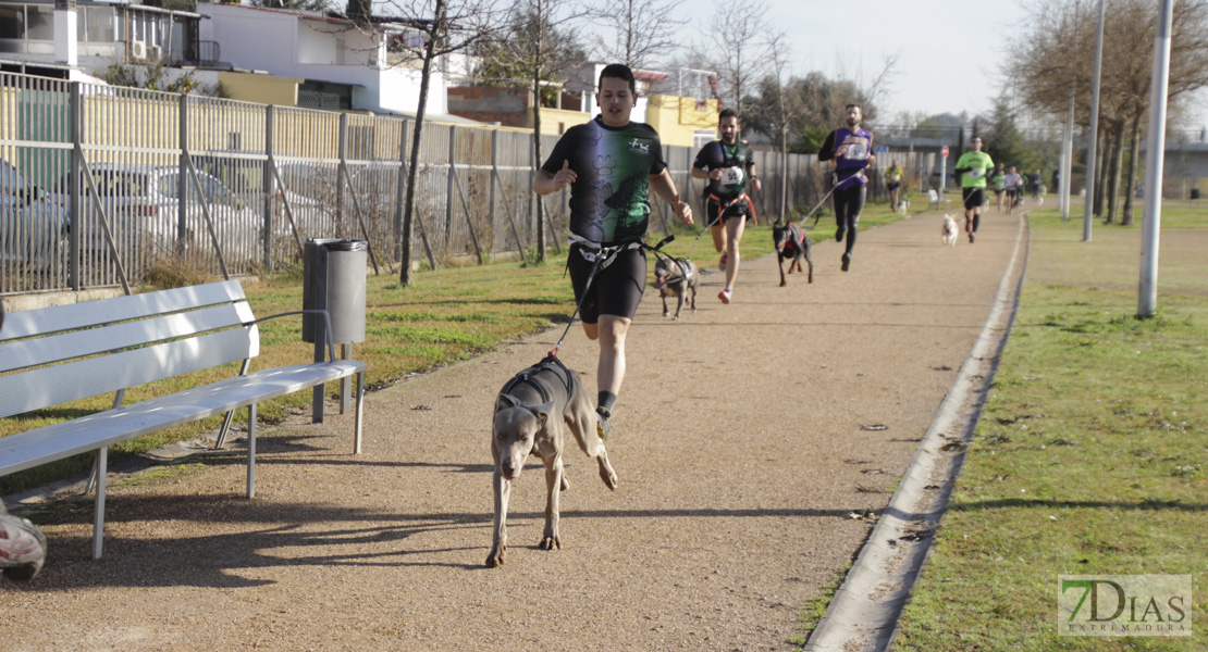 Imágenes de la II Canicross Ciudad de Badajoz II