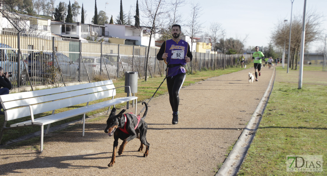 Imágenes de la II Canicross Ciudad de Badajoz II