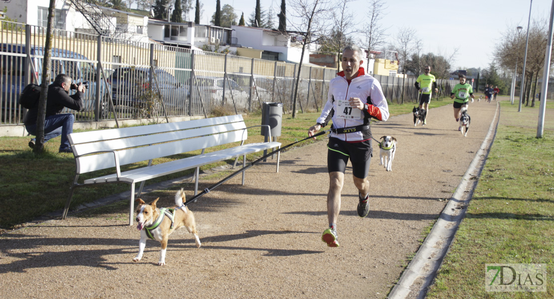 Imágenes de la II Canicross Ciudad de Badajoz II