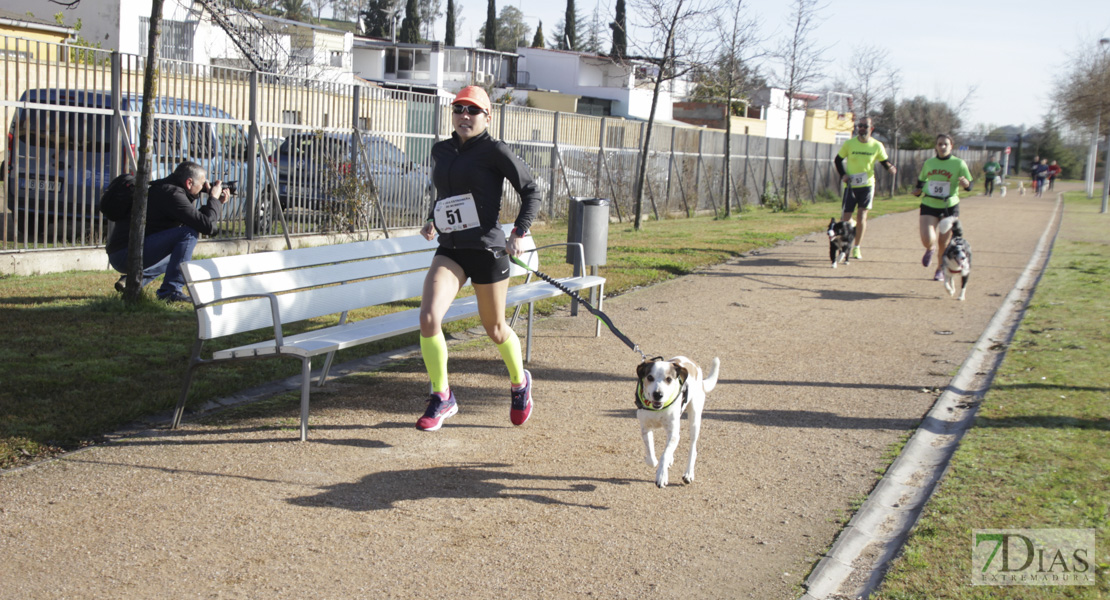 Imágenes de la II Canicross Ciudad de Badajoz II