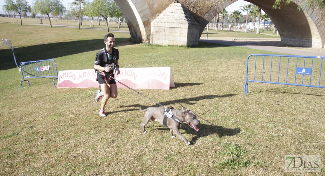 Imágenes de la II Canicross Ciudad de Badajoz II