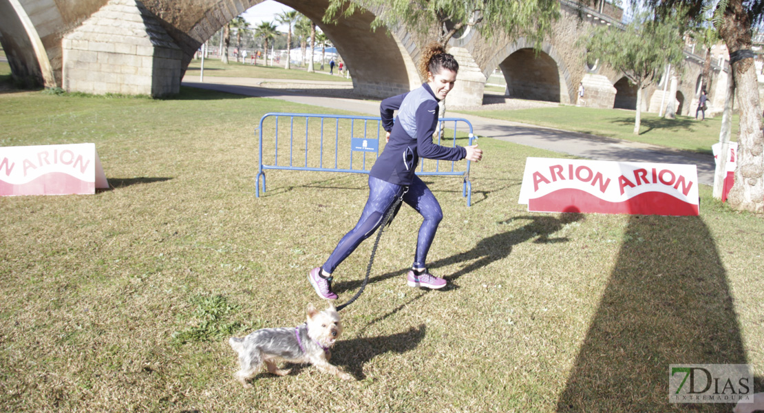 Imágenes de la II Canicross Ciudad de Badajoz II