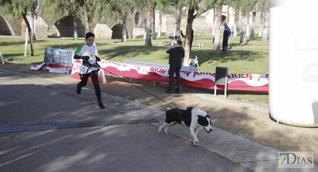 Imágenes de la II Canicross Ciudad de Badajoz II