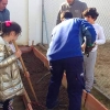 Un huerto donde se planta inclusión