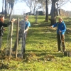 Más de 100 voluntarios plantan 400 árboles en Ambroz y Tierras de Granadilla