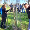 Más de 100 voluntarios plantan 400 árboles en Ambroz y Tierras de Granadilla