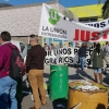 Los agricultores comienzan a llegar a Mérida