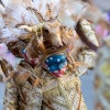 Imágenes grupales del Desfile infantil de comparsas de Badajoz