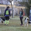 Imágenes de la II Canicross Ciudad de Badajoz I