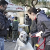 Imágenes de la II Canicross Ciudad de Badajoz I