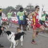 Imágenes de la II Canicross Ciudad de Badajoz I